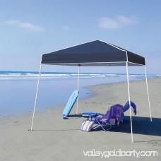 Z-Shade 10' x 10' Angled Leg Instant Shade Canopy Tent Portable Shelter, Black